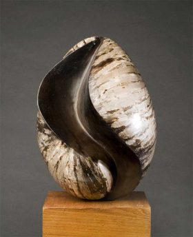 Deana Lee - Selected member